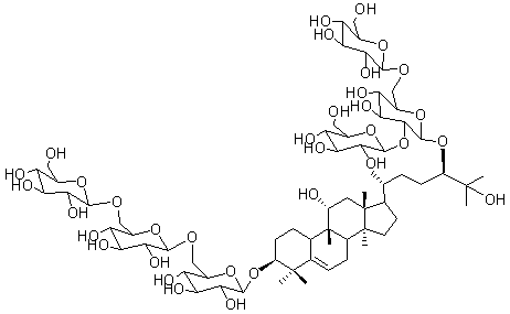 2025新老澳门原料
